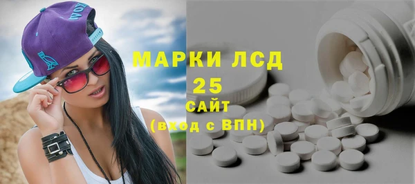 стаф Алексин