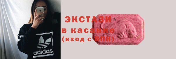 стаф Алексин