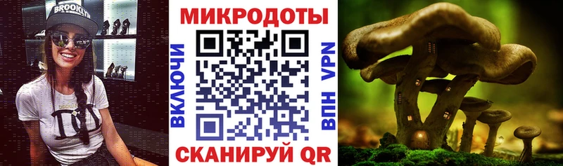 Галлюциногенные грибы MAGIC MUSHROOMS  Купить закладки  Теберда 